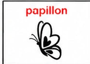 Papillon