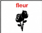 Fleur